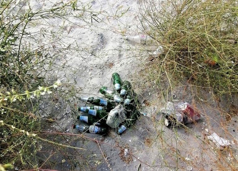 11 tone de deșeuri din sticlă, colectate în două săptămâni de pe plaja protejată Vadu