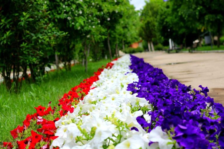 FOTO Parcul Central din Cernavodă, plin de culoare