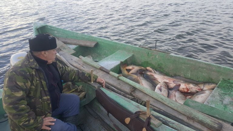 Piețele locale de pește, soluția supraviețuirii pescarilor din Deltă și Marea Neagră
