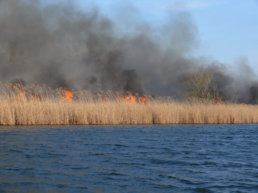 Incendiu in Delta Dunarii foto Institutul National de Cercetare-Dezvoltare Delta Dunarii - INCDDD