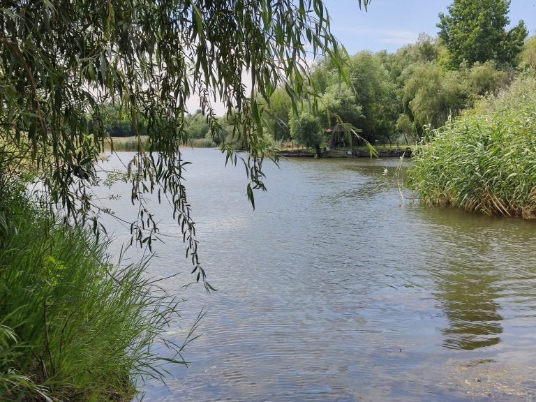 AVERTISMENT: „Delta Dunării riscă să fie scoasă din patrimoniul UNESCO”