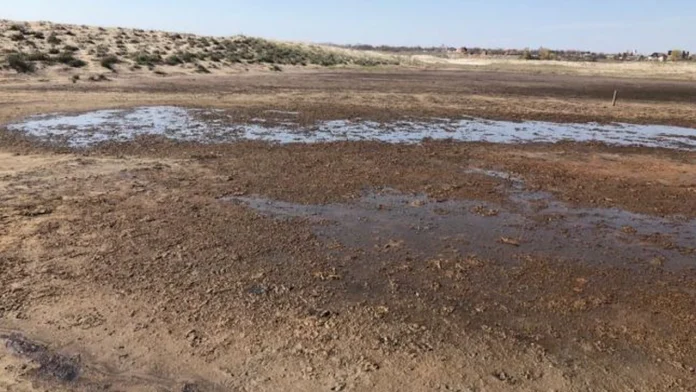 Terenul contaminat în zona plajei Vadu foto: 2019