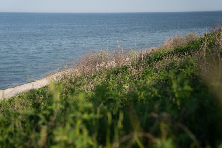 Living Rock, singurul festival de rock alternativ de la mare. Programul concertelor