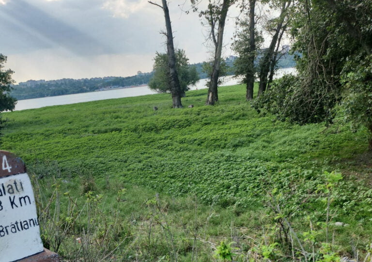Amenințate cu amenzi, mai multe primării din Tulcea au ecologizat Lunca Dunării