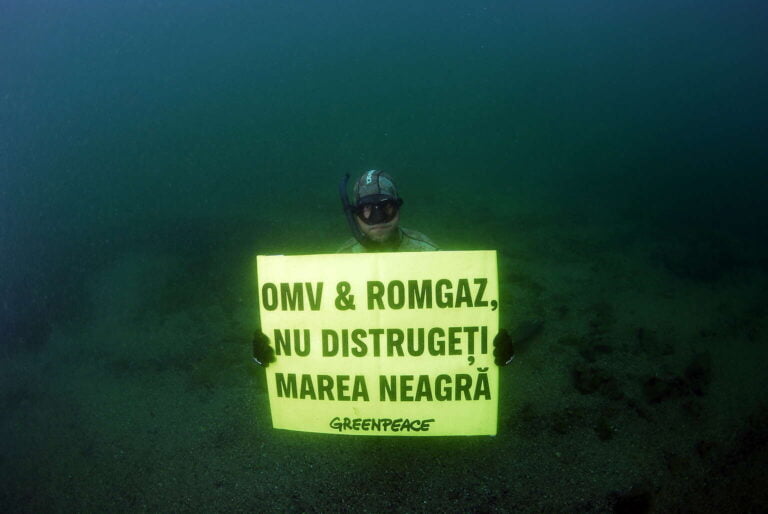 Proiectul Neptun Deep, pe masa judecătorilor. Greenpeace: „Exploatarea gazelor de către OMV Petrom și Romgaz, un risc imens pentru Marea Neagră”