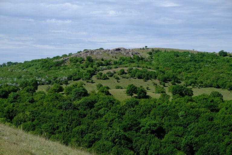 DOCUMENTE Cele 21 de arii naturale protejate din Podişul Nord-Dobrogean care vor beneficia de un plan de conservare a biodiversităţii