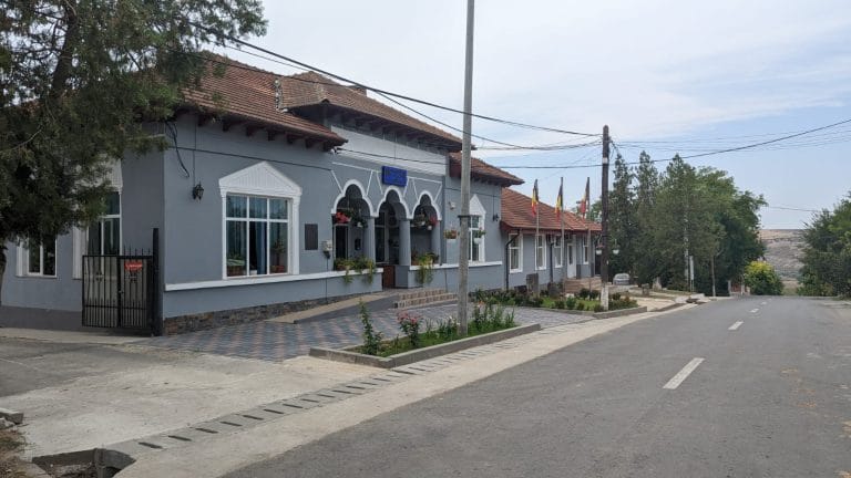 În comuna Adamclisi, PSD a obținut postul de viceprimar cu votul consilierului USR