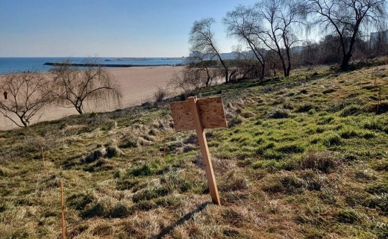 Raport oficial: Au fost identificate peste 4.000 de clădiri pe terenuri aparținând zonei costiere, domeniu public al statului unde nu sunt permise construcțiile