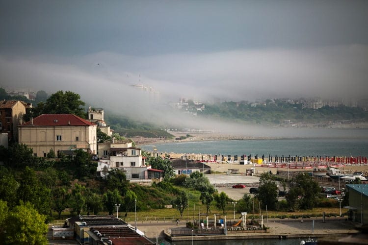 FOTO/VIDEO: Consilierii locali votează un Registru al spațiilor verzi care nu include și ultima zonă verde nealterată a Constanței. Imagini cu pădurea urbană amenințată de construcții